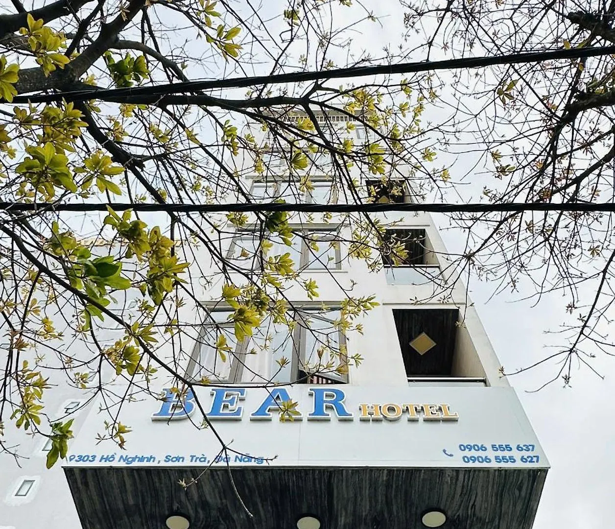 Bear Hotel & Homestay Da Nang